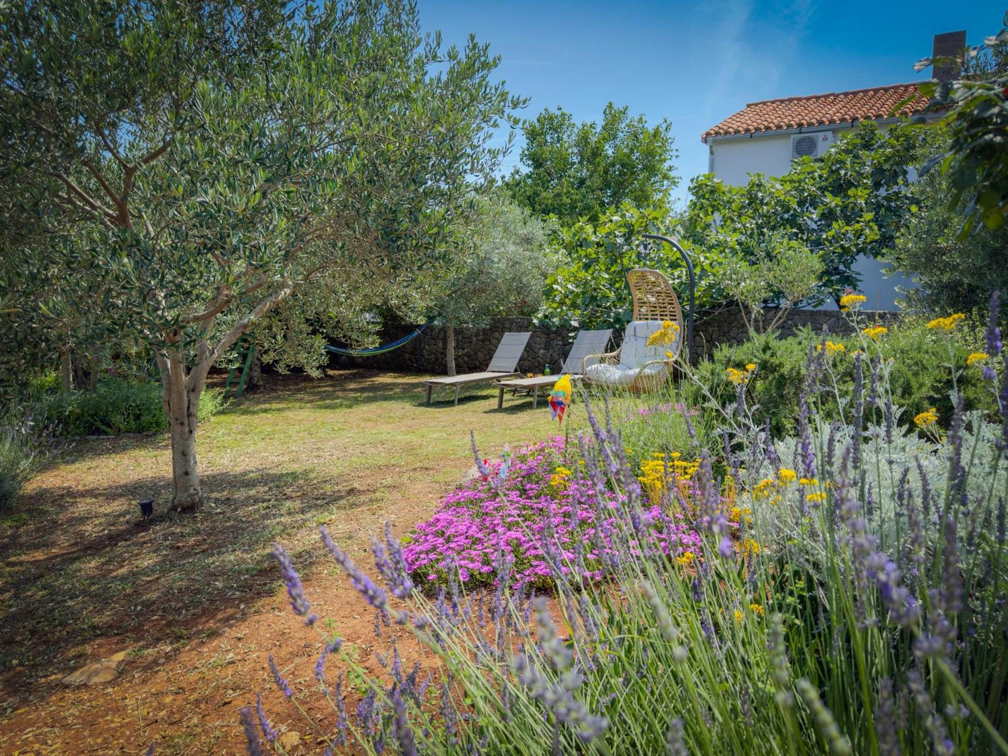 Holiday Home Lavanda Kornić Eksteriør billede